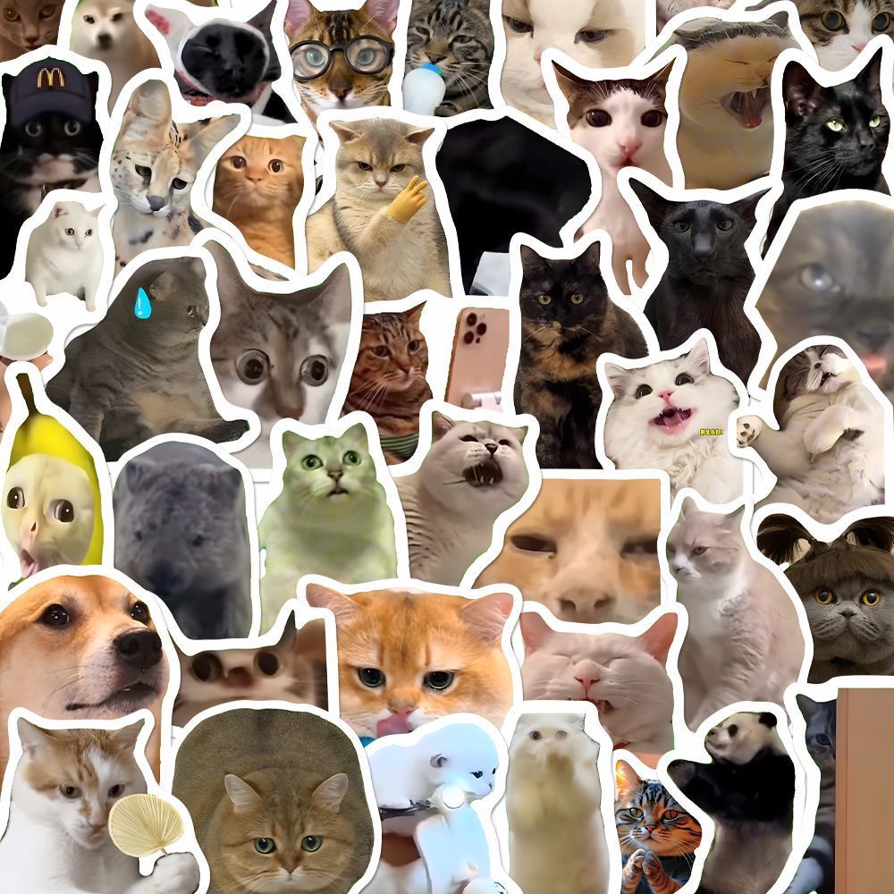 Funny Cat Meme Stickers Ins Style Decals