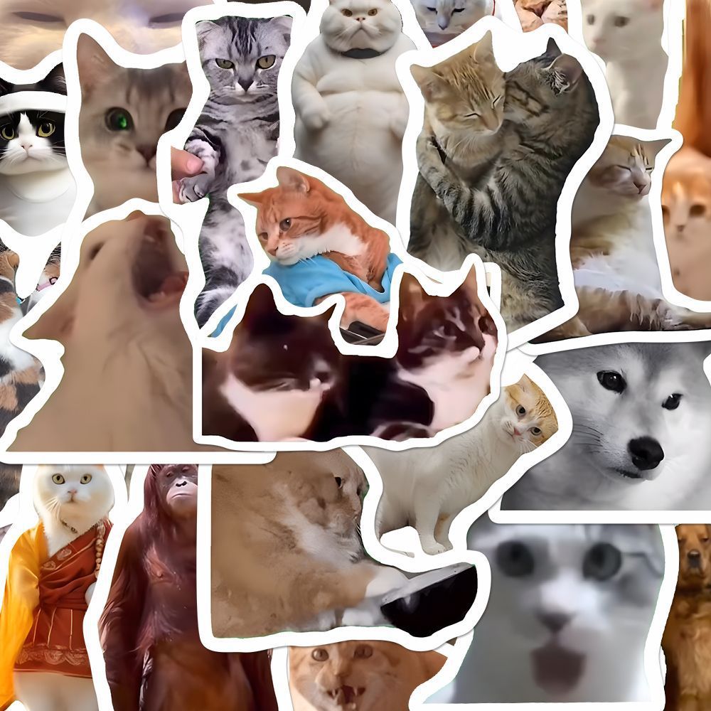 Funny Cat Meme Stickers Ins Style Decals