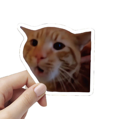 Funny Cat Meme Stickers Ins Style Decals