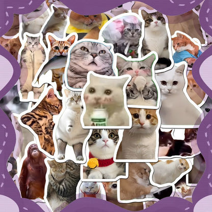 Funny Cat Meme Stickers Ins Style Decals