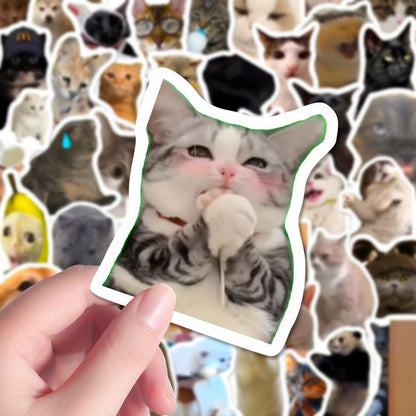 Funny Cat Meme Stickers Ins Style Decals